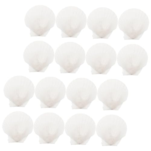 CIYODO 16 Stück Große Natürliche Jakobsmuscheln Aquarium Dekoration DIY Bastelmaterial Muschel Ornament von CIYODO