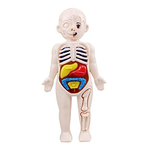 CIYODO 3d-puzzle Menschliche Organe Lehrmittel Für Kinder Kindergarten Anatomie Spielzeug Körper Modell Entwicklungsgeschenk CIYODO 3d-puzzle Menschliche Organe Lehrmittel Für Kinder Kindergarten Anatomie Spielzeug Körper Modell Entwicklungsgeschenk von CIYODO