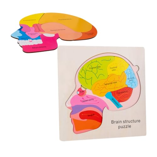 CIYODO 1Satz Holzpuzzle für Lernspielzeug Kognitiven Fähigkeiten Sicher und Stabil Großes Gehirnstruktur Puzzle mit Großen Partikelblöcken für Einfache Handhabung von CIYODO