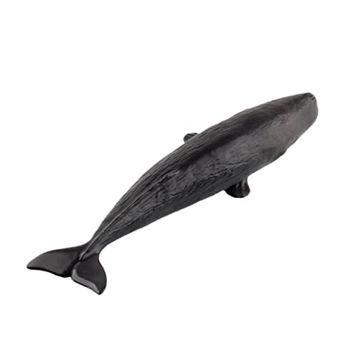 CIYODO 1Stk Lernspielzeug für kinderspielzeug Kid Toys spielsachen für kinderknallzeug Kreatives Toys for Spielzeugtiere für Black CIYODO 1Stk Lernspielzeug für kinderspielzeug Kid Toys spielsachen für kinderknallzeug Kreatives Toys for Spielzeugtiere für Black von CIYODO