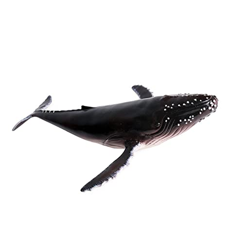 CIYODO 1Stück Simuliertes Walmodell Aus Kunststoff Realistisches Humpback Wal Für Dekoration Für Zuhause Büro Und Cafés Lebensechtes Meereslebewesen Dekoornament von CIYODO