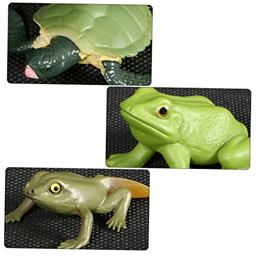 CIYODO 2 Sets Frosch Dekoration Kinderspielzeug Für Tiermodelle Tierwachstumsstadium Modell Schildkrötenwachstumsstadium Modell Schildkrötenspielzeug Schildkrötenwachstumsmodell von CIYODO