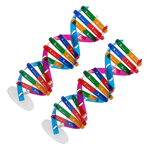CIYODO 2 Stücke Gen-DNA-Modell Unterricht Wissenschaftliches Lernspielzeug Kinder Montagespielzeug von CIYODO