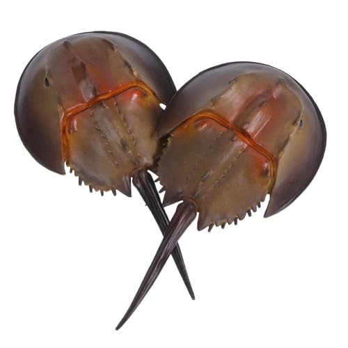 CIYODO 2 Stück Realistische Kunststoff Schneckenkrabben Meeresbewohner Figuren für Lebendige Farben Leicht und Robust für Indoor-Spiel Sandkästen Aquarium-deko von CIYODO