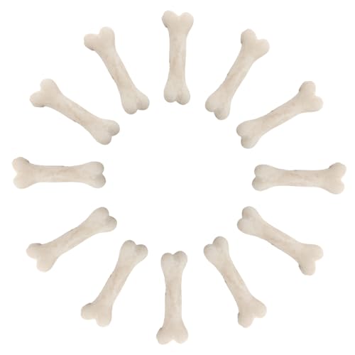 CIYODO 20Stücke Knochen Modellset Realistische Skelettknochen für Bastelprojekte Dekoration Halloween für Kinderhandwerk und Lernspielzeuge CIYODO 20Stücke Knochen Modellset Realistische Skelettknochen für Bastelprojekte Dekoration Halloween für Kinderhandwerk und Lernspielzeuge von CIYODO