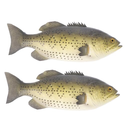 CIYODO 2Stücke Realistische Künstliche Fisch Figuren PU Simulierte Dekoration für Wohnräume Kinderzimmer Geschenkidee für Fischliebhaber und Angler Langlebig und Lebendig CIYODO 2Stücke Realistische Künstliche Fisch Figuren PU Simulierte Dekoration für Wohnräume Kinderzimmer Geschenkidee für Fischliebhaber und Angler Langlebig und Lebendig von CIYODO