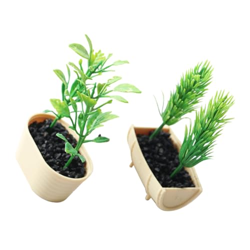 CIYODO 2 Stück Miniatur Topfpflanzen Mini Garten Anlage Spielzeug Puppenhaus Zubehör CIYODO 2 Stück Miniatur Topfpflanzen Mini Garten Anlage Spielzeug Puppenhaus Zubehör von CIYODO