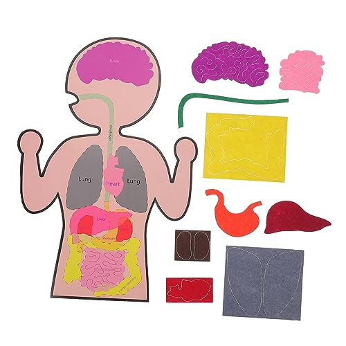 CIYODO 3 Sätze Teiliges Menschliche Organe Lernspielzeug Kognitive Bastelsets für DIY Lehrmittel Kreatives Handwerk Kreativität und Feinmotorik CIYODO 3 Sätze Teiliges Menschliche Organe Lernspielzeug Kognitive Bastelsets für DIY Lehrmittel Kreatives Handwerk Kreativität und Feinmotorik von CIYODO