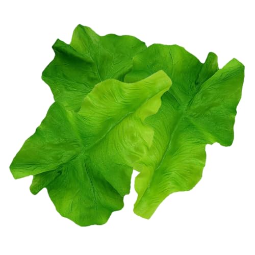 CIYODO 3St Salatblattmodell grüne deko künstliche Pflanzen Kunststoff Gemüse Kunstpflanzen künstliche Blumen künstlicher Salat künstliches Gemüseblatt Simulation Essen Plastik Green CIYODO 3St Salatblattmodell grüne deko künstliche Pflanzen Kunststoff Gemüse Kunstpflanzen künstliche Blumen künstlicher Salat künstliches Gemüseblatt Simulation Essen Plastik Green von CIYODO