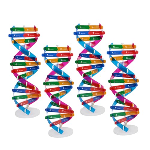 CIYODO 4stücke Molekulares DNA-Modell Wissenschaftlicher Modellbausatz Menschlicher Gene Lehrstruktur Der DNA-doppelhelix Biologisches Lernspielzeug Zur Pädagogisches Modell von CIYODO