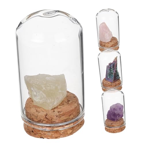 CIYODO 4 Stück Teiliges Natürlicher Kristallmineralien mit Glasdome Dekorative Rohsteine für Innenräume Stilvolle Heilungs und Sammlungszwecke Geschenkidee CIYODO 4 Stück Teiliges Natürlicher Kristallmineralien mit Glasdome Dekorative Rohsteine für Innenräume Stilvolle Heilungs und Sammlungszwecke Geschenkidee von CIYODO