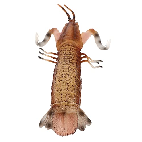 CIYODO Adorable Mantis Shrimp Modell Lebendiges Sensorisches Lernspielzeug aus Robustes Kinderaccessoire für Spielzimmerdekoration und Foto Requisiten CIYODO Adorable Mantis Shrimp Modell Lebendiges Sensorisches Lernspielzeug aus Robustes Kinderaccessoire für Spielzimmerdekoration und Foto Requisiten von CIYODO
