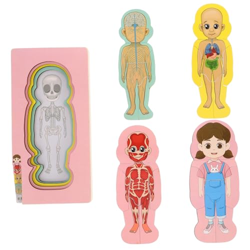 CIYODO Holzpuzzle Zur Menschlichen Anatomie Für Kinder Pädagogisches Organ-lernspielzeug Montessori-Ansatz Für Jungen Und Mädchen CIYODO Holzpuzzle Zur Menschlichen Anatomie Für Kinder Pädagogisches Organ-lernspielzeug Montessori-Ansatz Für Jungen Und Mädchen von CIYODO