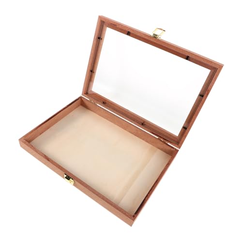 CIYODO Box Holzaufbewahrungsbox Holzprobenvitrine Insektenproben Fotorahmen Insektenvitrine Schattenvitrine Pflanzenprobenrahmen Schmetterlingsproben Aufbewahrungsbox Hellbraun von CIYODO
