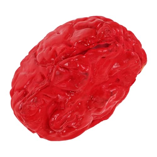 CIYODO Halloween Fake Brain Deko Realistische Requisite für Spukhaus Halloween Party Sichere Dekoration für Haustiere Vielseitig Einsetzbar Authentisches Aussehen für Gruselige Anlässe von CIYODO