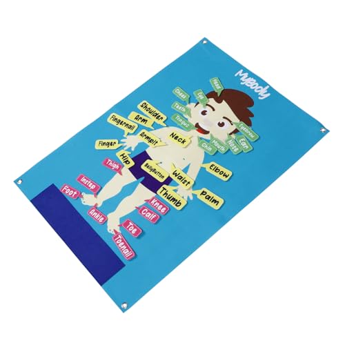 CIYODO Human Body Felt Board für Kleinkinder Interaktives Lernspielzeug aus Filz für Vorschulkinder Fördert Eltern Junge Mädchen Interaktion für Geschichten und Anatomieunterricht von CIYODO