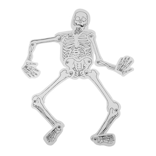 CIYODO Human Skeleton DIY Knochen Modell Bausatz für Schule und Bildung Interaktives Lernspielzeug Verständnis und Wissen Menschliche Skelett Kompakt und Transportabel von CIYODO