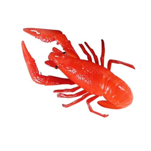 CIYODO Krebsmodell Fisch künstliche Kleidung Krabbenhundespielzeug Bausatz Platte Bucht kleine Hummerfigur Meeresfrüchte Modell gefälschtes Hummermodell gefälschte Hummerfiguren PVC rot CIYODO Krebsmodell Fisch künstliche Kleidung Krabbenhundespielzeug Bausatz Platte Bucht kleine Hummerfigur Meeresfrüchte Modell gefälschtes Hummermodell gefälschte Hummerfiguren PVC rot von CIYODO