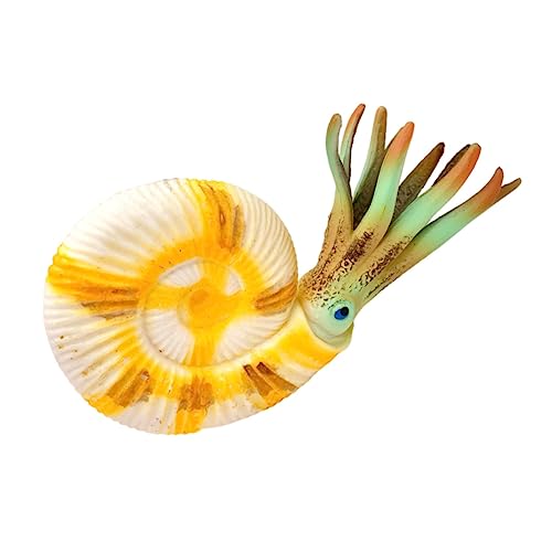 CIYODO Lebensechtes Nautilus Modellspielzeug aus Farbenfrohes Meereslebewesen für Pädagogisches Ozeantier Lernspielzeug Vielseitige Deko für Schreibtisch und Kinderzimmer von CIYODO