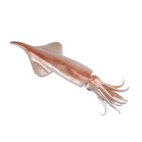 CIYODO -Modell Simulationsfischspielzeug Simulations -Garnelenmodell realistische Tintenfischfigur Künstlicher simulierter Fisch Künstliche Garnelen PVC Rosa von CIYODO
