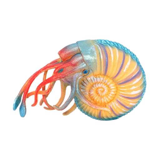 CIYODO Nautilus Modell Realistisches Tiermodell Für Bildungs-Spielzeug Kreativität Und Farbverständnis Für Aquarium-Dekoration Und Lernzwecke von CIYODO