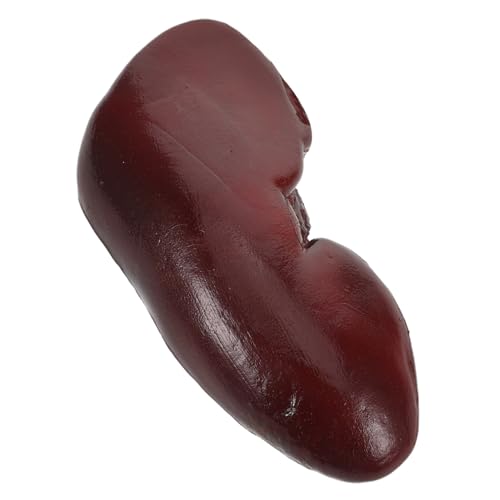 CIYODO Realistisches Fake Schweine-nieren Halloween Dekorationen Gruseliges Prank-Organ Requisit für Partys Cosplay und Haunted House mit Langlebiger Verarbeitung von CIYODO