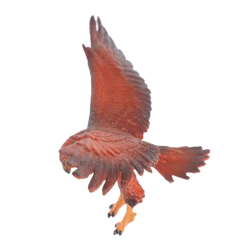 CIYODO Realistisches Figuren Modell Simulationsvögel Craft Adler Vogelfiguren Eagle Modellfiguren Spielzeug Adlerspielzeug Adlerfiguren Weißkopfseeadler Pädagogische Lernskulpturen CIYODO Realistisches Figuren Modell Simulationsvögel Craft Adler Vogelfiguren Eagle Modellfiguren Spielzeug Adlerspielzeug Adlerfiguren Weißkopfseeadler Pädagogische Lernskulpturen von CIYODO