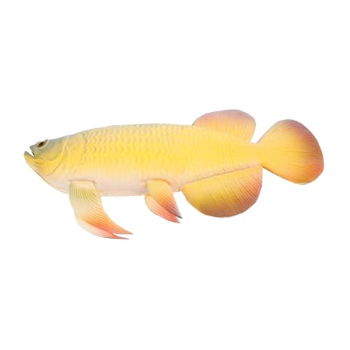 CIYODO Realistisches Kunstfisch Modell Deko Fisch Für Aquarium Heim Küche Und Fotos Lifelike Fisch Für Kreative Dekoration Und Film Requisiten Tropische Fische Deko CIYODO Realistisches Kunstfisch Modell Deko Fisch Für Aquarium Heim Küche Und Fotos Lifelike Fisch Für Kreative Dekoration Und Film Requisiten Tropische Fische Deko von CIYODO