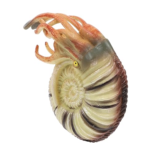 CIYODO Realistisches Nautilus Modell aus Hochwertigem Lebensechtes Meerestier und Aquarium Deko Pädagogisches Tiermodell Fantasie und Umweltbewusstsein Sicher für Vielseitige Meereswelt CIYODO Realistisches Nautilus Modell aus Hochwertigem Lebensechtes Meerestier und Aquarium Deko Pädagogisches Tiermodell Fantasie und Umweltbewusstsein Sicher für Vielseitige Meereswelt von CIYODO