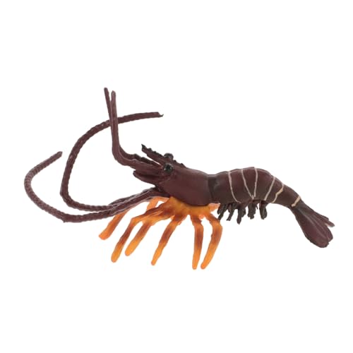 CIYODO Simulationsmodell Zur Präsentation Von Garnelen Garnelenfigur Gefälschtes Garnelenmodell Zur Dekoration Kinderspielzeug Simulations -garnelenmodell Garnelen Figur Hellbraun Plastik CIYODO Simulationsmodell Zur Präsentation Von Garnelen Garnelenfigur Gefälschtes Garnelenmodell Zur Dekoration Kinderspielzeug Simulations -garnelenmodell Garnelen Figur Hellbraun Plastik von CIYODO