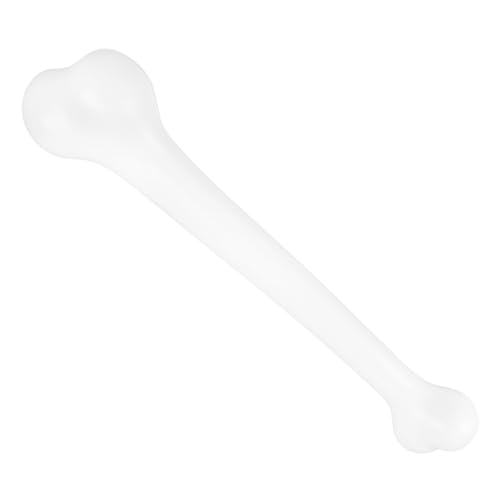 CIYODO Simulierte Knochenspielzeug Knochenrequisiten Streich Gefälscht Skelett Party Gruselig Halloween-Miniatur Stützknochen Halloween- Groß Realistisch Weiß Plastik CIYODO Simulierte Knochenspielzeug Knochenrequisiten Streich Gefälscht Skelett Party Gruselig Halloween-Miniatur Stützknochen Halloween- Groß Realistisch Weiß Plastik von CIYODO