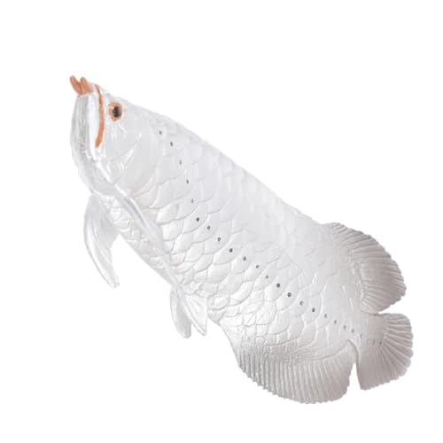 CIYODO Simuliertes Arowana Fischmodell Lernspielzeug Für Fischspielzeug Simulation Fischmodell Fischimitat Als Wohnkultur Verzierung in Fischform Silver Plastik CIYODO Simuliertes Arowana Fischmodell Lernspielzeug Für Fischspielzeug Simulation Fischmodell Fischimitat Als Wohnkultur Verzierung in Fischform Silver Plastik von CIYODO