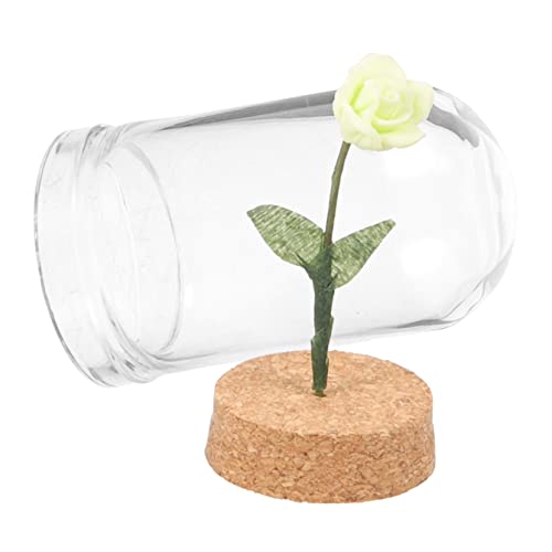 CIYODO Spielsachen Antike Winzige für Sukkulenten Pflanzen Ausstellungskuppel Miniatur Glasglocke für Puppenhaus Glaskuppel Topfpflanzen Kunstblume Lichterketten Kuppel Töpfe Cloche Klare CIYODO Spielsachen Antike Winzige für Sukkulenten Pflanzen Ausstellungskuppel Miniatur Glasglocke für Puppenhaus Glaskuppel Topfpflanzen Kunstblume Lichterketten Kuppel Töpfe Cloche Klare von CIYODO