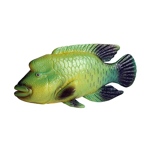 CIYODO Meerestier Simulationsfisch Modell Spielzeug Lernen Umweltbewusstsein Kinder Aquarium Ornament CIYODO Meerestier Simulationsfisch Modell Spielzeug Lernen Umweltbewusstsein Kinder Aquarium Ornament von CIYODO