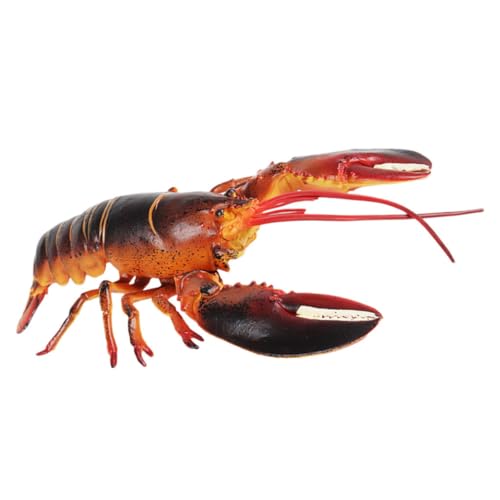 CIYODO simuliertes Tier hühner Educational Toys gartendeko rostoptik Tiermodell Spielzeugkrabbe realistische Tierfiguren Tiere Hummer-Figuren- Hummerfiguren Plastik CIYODO simuliertes Tier hühner Educational Toys gartendeko rostoptik Tiermodell Spielzeugkrabbe realistische Tierfiguren Tiere Hummer-Figuren- Hummerfiguren Plastik von CIYODO