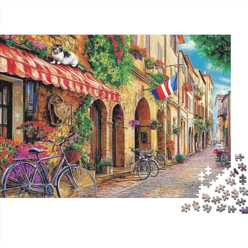 Attraktive Häuser, Lernspiel, Herausforderung, Spielzeug, Geschenke, Puzzles für Erwachsene und Kinder ab 14 Jahren, 1000 Teile (75 x 50 cm) von CKMSMCS