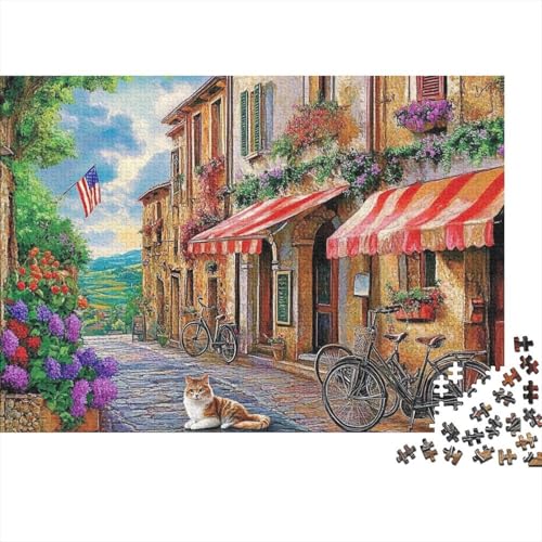 Attraktive Häuser, Lernspiele für Erwachsene und Kinder Freunde und Familie, 500 Stück (52 x 38 cm). von CKMSMCS