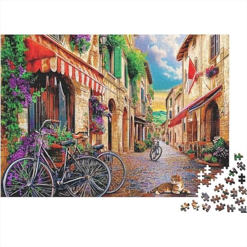 Attraktive Häuser, anspruchsvolles Lernspiel, geeignet für Kinder und Erwachsene, EIN tolles Geschenk, 300 Stück (40 x 28 cm) von CKMSMCS