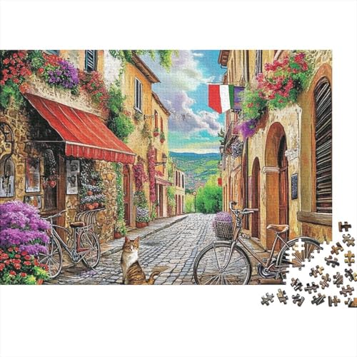 Attraktive Häuser, pädagogisches Puzzlespiel für Erwachsene ab 12 Jahren, geeignet für Familienunterhaltung, 300 Teile (40 x 28 cm) von CKMSMCS