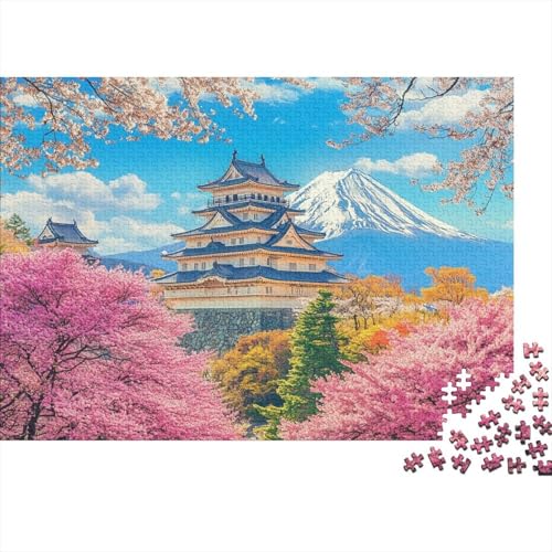 Das prächtige Schloss, Lernspiel, Herausforderung, Spielzeug, Geschenk, Puzzles für Erwachsene und Kinder ab 14 Jahren, 300 Teile (40 x 28 cm) von CKMSMCS