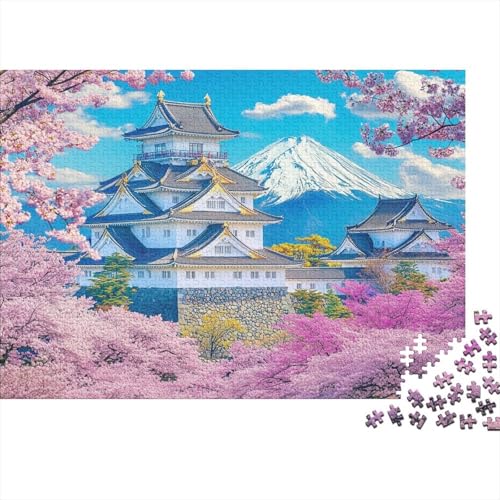 Das prächtige Schloss, pädagogisches Puzzlespiel für Erwachsene ab 12 Jahren, geeignet für Familienunterhaltung, 1000 Teile (75 x 50 cm) von CKMSMCS