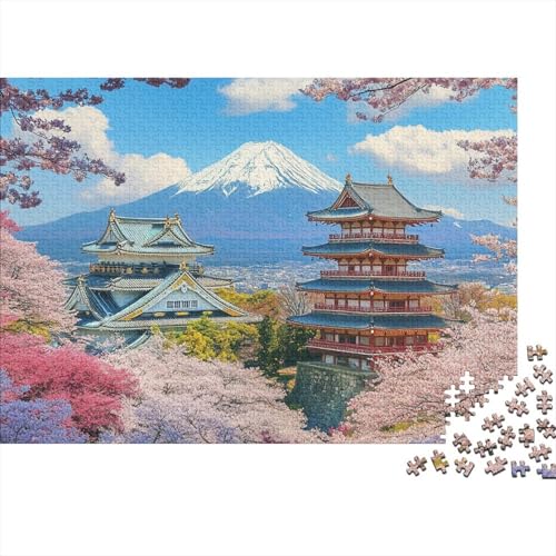 Das prächtige Schloss, pädagogisches Puzzlespiel für Erwachsene ab 12 Jahren, geeignet für Familienunterhaltung, 300 Teile (40 x 28 cm) von CKMSMCS