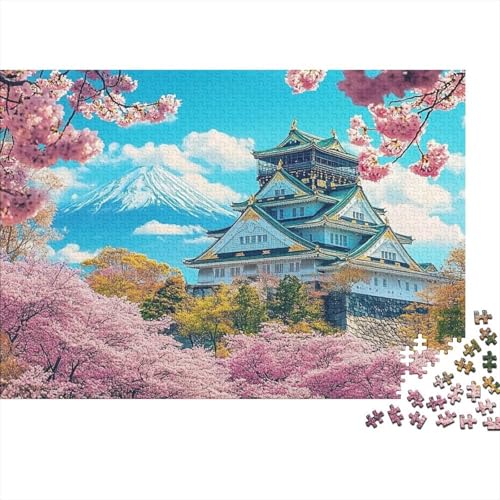 Das prächtige Schloss. Lernspiele für Kinder ab 14 Jahren. Familienunterhaltung. Herausforderungen mit hohem Schwierigkeitsgrad. 1000 Teile (75 x 50 cm). von CKMSMCS