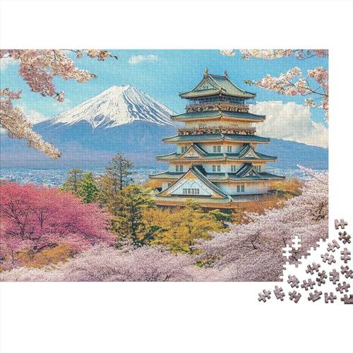 Das prächtige Schloss. Lernspiele für Kinder ab 14 Jahren. Familienunterhaltung. Herausforderungen mit hohem Schwierigkeitsgrad. 300 Teile (40 x 28 cm). von CKMSMCS