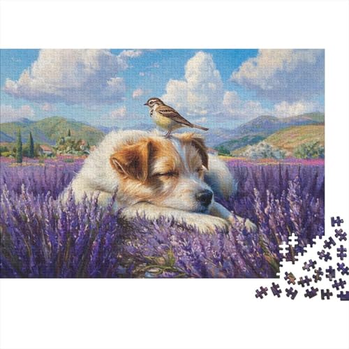Hund, entzückender Hund, EIN lustiges und Cooles Lern-Puzzlespiel mit einem sehr hohen Schwierigkeitsgrad, 500 Teile (52 x 38 cm) von CKMSMCS