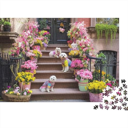 Hund, entzückender Hund. EIN einzigartiges und kreatives Spiel, das herausfordernd und unterhaltsam ist. 500 Teile (52 x 38 cm) von CKMSMCS