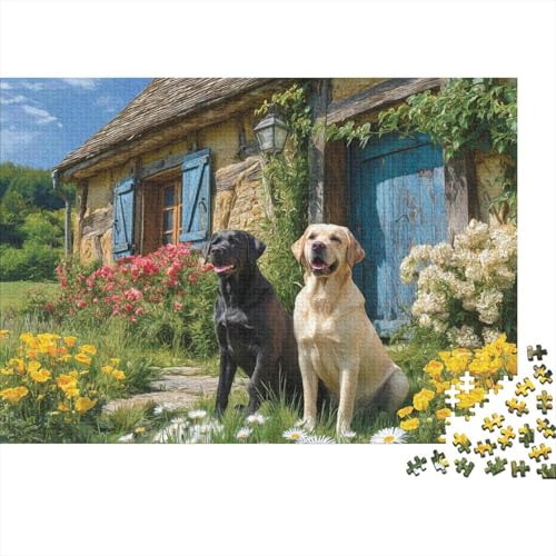 Hund, entzückender Hund. EIN einzigartiges und kreatives Spiel, das herausfordernd und unterhaltsam ist. 500 Teile (52 x 38 cm) von CKMSMCS