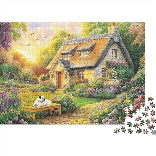 Schöne Häuser. Lernspiele für Erwachsene und Kinder Freunde und Familie. 1000 Teile (75 x 50 cm). von CKMSMCS