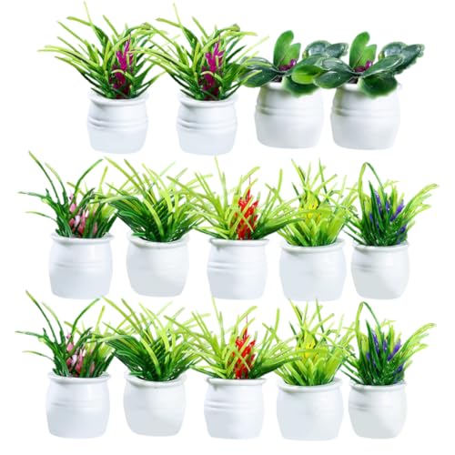 CLISPEED 14Stücke Pflanzen Künstliche Topfpflanzen für Puppenhaus Dekoration Lebensnahe Bonsai Ornamente für Miniaturlandschaften und Wohndekoration CLISPEED 14Stücke Pflanzen Künstliche Topfpflanzen für Puppenhaus Dekoration Lebensnahe Bonsai Ornamente für Miniaturlandschaften und Wohndekoration von CLISPEED