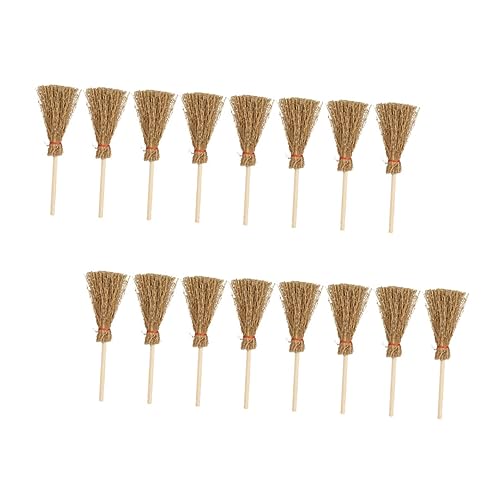 CLISPEED 16 Stück Teiliges Mini Realistisch Geformt für Puppenhäuser und DIY Dekoration Sichere Materialien als Fotorequisite und Miniatur gartenaccessoire von CLISPEED